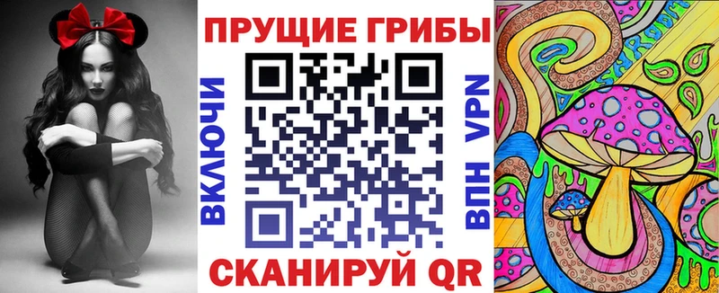Псилоцибиновые грибы MAGIC MUSHROOMS  наркотики  Ангарск 